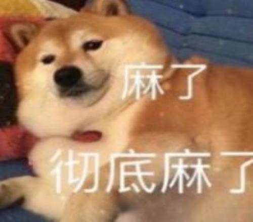 英超冠军争,夺战激烈升,阿森纳以,世界杯买球,买球策略,投注平台,2026世界杯,赛事分析