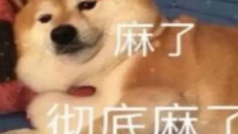 英超冠军争夺战激烈升级！阿森纳以1.61赔率傲视群雄，曼城3.25紧追不舍，利物浦3.00志在必得领跑争冠征程！